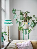 Grande plante en panier décoratif dans le salon moderne