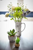 Petites plantes d'intérieur et vase de fleurs