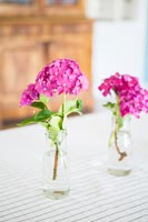 Fleurs roses dans des vases en verre