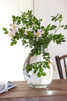 Vase moderne avec des fleurs