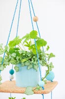 Plante d'intérieur verte sur l'affichage de plantes suspendues en liège, ficelle et boules