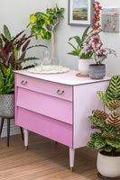 Ensemble fini de tiroirs peints en rose poudré avec des tiroirs de différentes nuances - effet de peinture ombre, entouré d'un mélange de plantes d'intérieur