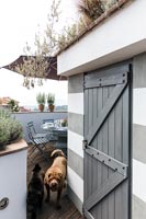 Mobilier moderne et chien sur balcon