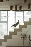 Escalier moderne avec chat