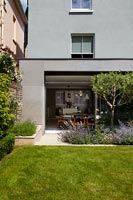 Terrasse moderne avec pelouse