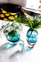 Vases turquoise avec boutures de feuillage