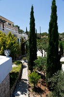 Cyprès à l'extérieur de la villa méditerranéenne en été
