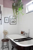Plantes d'intérieur en suspension au-dessus d'une baignoire sur pied dans une salle de bains moderne