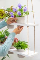 Femme ajoutant une plante d'intérieur en pot à une étagère à plusieurs niveaux