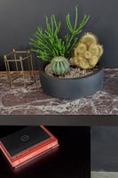 Cactus en pot noir sur table d'appoint en marbre