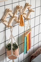 Détail de crochets muraux en bois avec plante en cintre en macramé