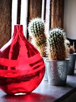 Vase rouge et cactus sur rebord de fenêtre