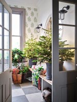 Vue à travers les doubles portes du vestiaire avec des arbres de Noël et des décorations
