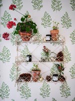Étagère en fil métallique avec plantes en pot sur papier peint à motifs