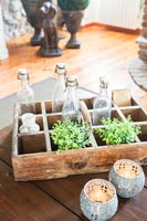 Vieille boîte en bois avec des plantes et des bougies de bouteilles en verre