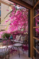 Vue à travers la porte du balcon couvert de fleurs roses