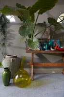 Plantes d'intérieur sur banc en bois et collection de vases et pots