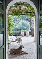 Vue à travers la porte de la terrasse avec chien