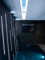 Salle de spa noire avec bassin profond