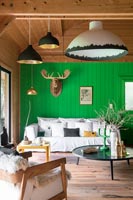 Mur de fonction en bois peint en vert vif dans le salon moderne