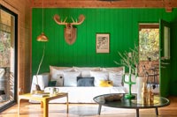 Mur en bois peint en vert vif dans un salon moderne