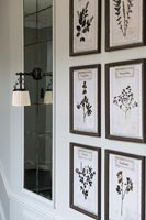 Affichage d'images botaniques en noir et blanc dans des cadres sur le mur