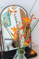 Détail de fleurs orange dans un vase sur coiffeuse par miroir