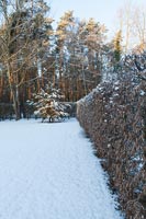 Jardin couvert de neige