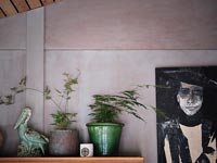 Détail de plantes d'intérieur sur étagère avec portrait