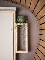 Armoires de rangement et étagères en bois murales avec plante traînante