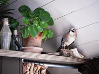 Oiseau en peluche et plante d'intérieur affiché sur une étagère haute