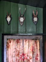 Rangée de crânes d'animaux et de cornes sur porte en bois avec rideau en tissu floral