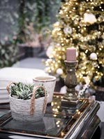 Plante d'intérieur dans le panier sur la table d'appoint avec arbre de Noël en arrière-plan
