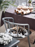 L'animal peut dormir sur une chaise de salle à manger - craquelins de Noël sur table