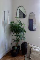 Grandes plantes d'intérieur et miroirs muraux