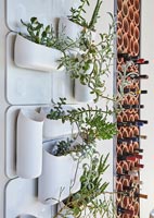 Pots de fleurs modernes muraux