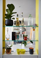 Étagères en verre avec plantes d'intérieur et bouteilles en verre