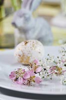 Détail de fleurs coupées et oeufs sur assiette - décoration de Pâques