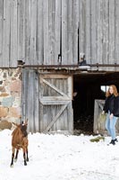 Vosters Christmas House and Goat Farm portrait