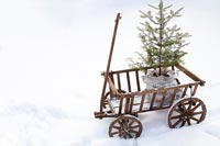 Chariot de jardin avec sapin de Noël