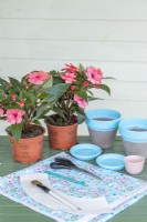 Tissu, pots et soucoupes en terre cuite peinte, colle, gabarit en papier, crayon, ciseaux, pinceau et fleurs, disposés sur une table