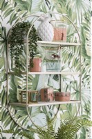 Étagère murale avec plantes d'intérieur contre papier peint tropical