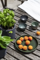 Abricots frais sur plaque sur table de jardin en bois - détail