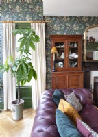 Grande plante d'intérieur dans un salon classique coloré