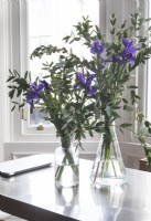 Iris violets dans des vases en verre - détail