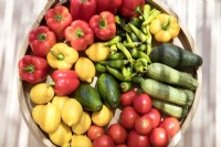 Affichage de légumes frais