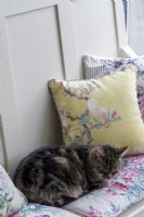 Chat endormi sur un coussin confortable à l'installation