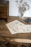 Vieux dessins botaniques sur un bureau en bois rustique à côté d'un vase de fleurs
