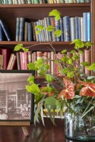 Vase de feuillage printanier et plante de maison Anthurium dans la bibliothèque de la maison de campagne