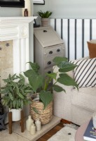 Détail des plantes d'intérieur sur le foyer de la cheminée dans le salon moderne